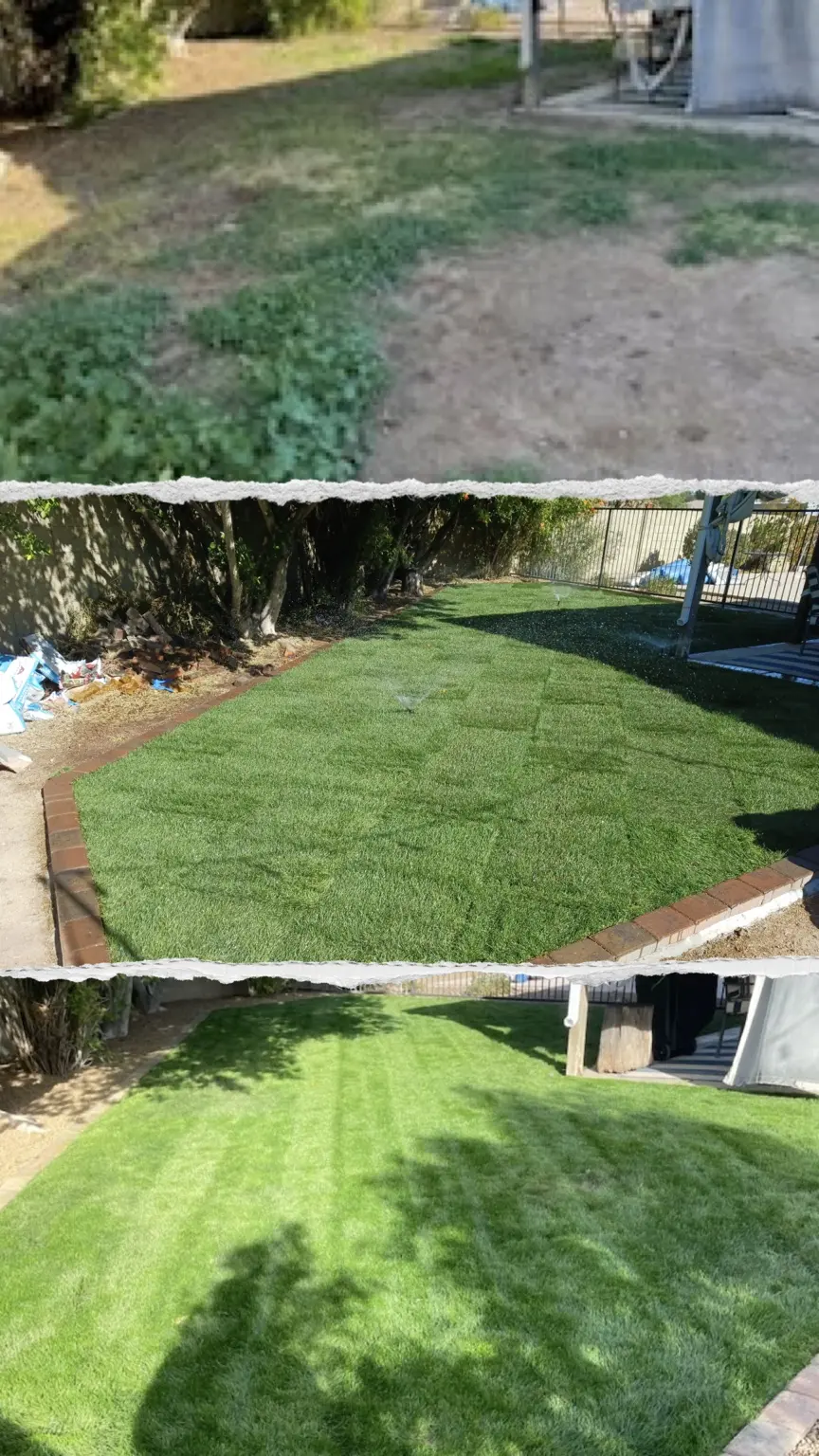 Three-stage backyard lawn transformation from bare ground to fresh green grass