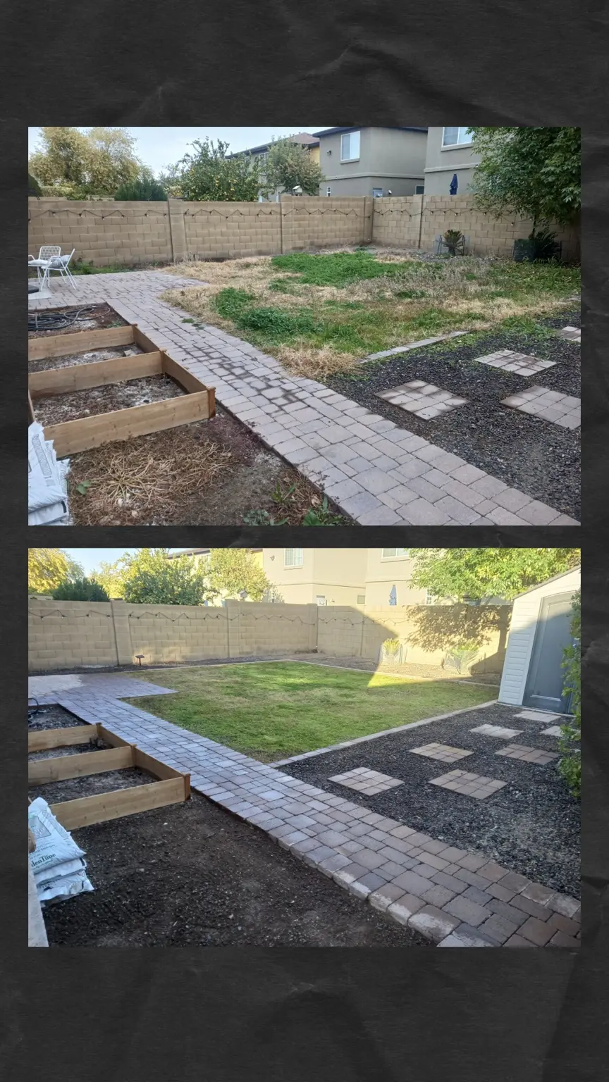 Before and after backyard cleanup and lawn restoration