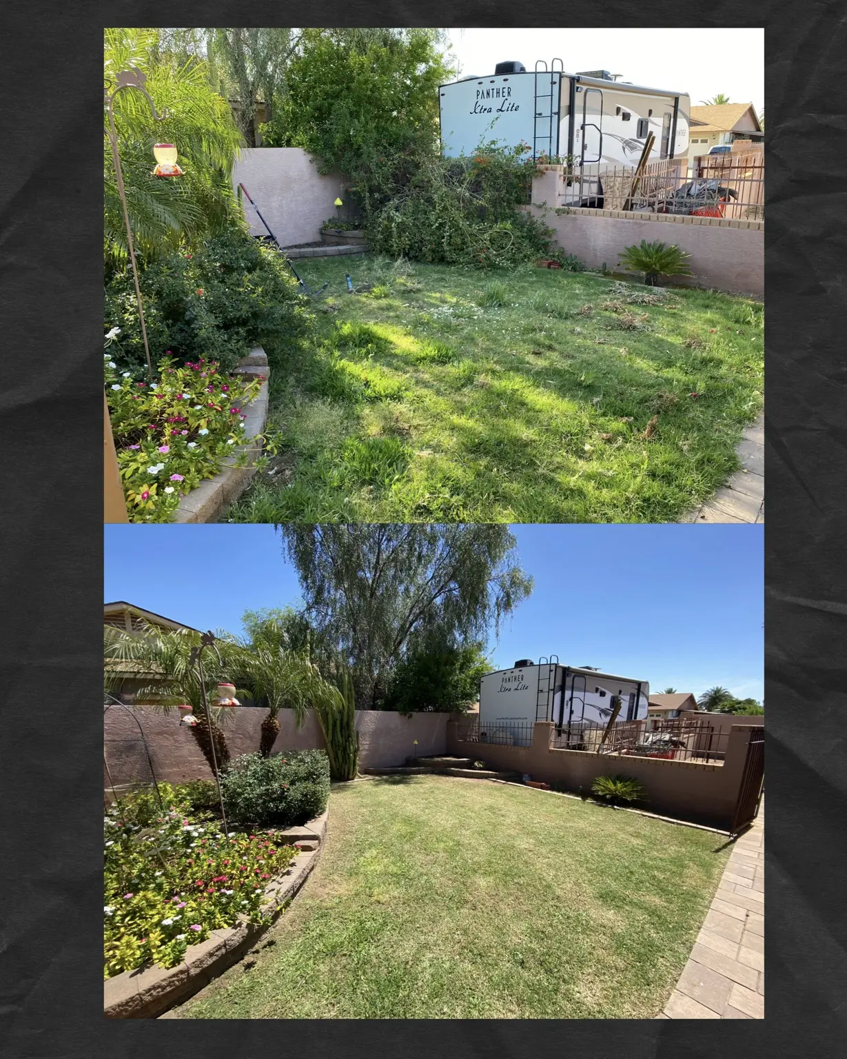 Before and after cleanup of an overgrown residential backyard